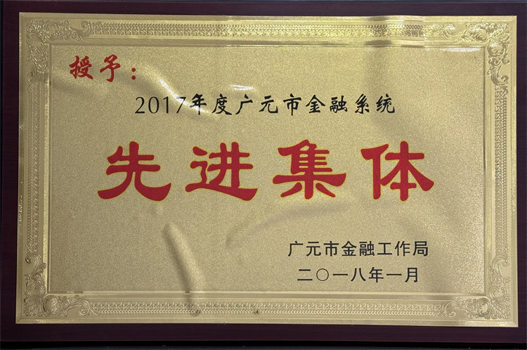 2017年度广元市金融系统先进集体.jpg