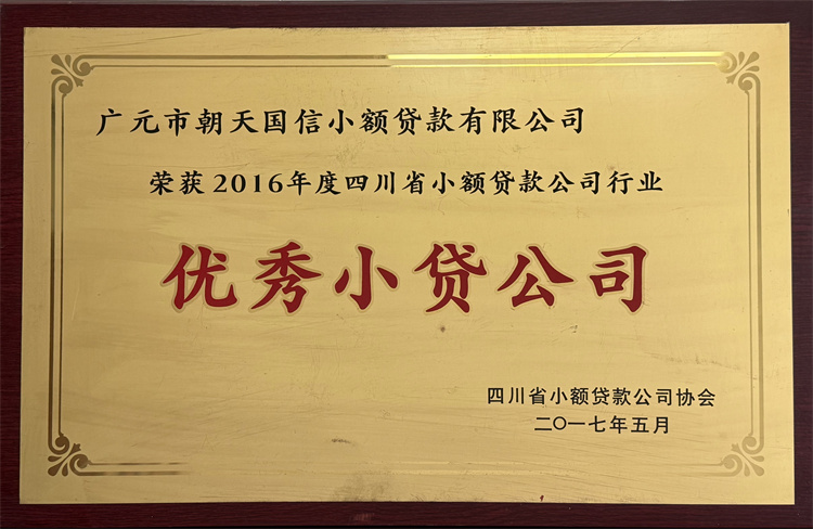 2016年度优秀小贷公司.jpg